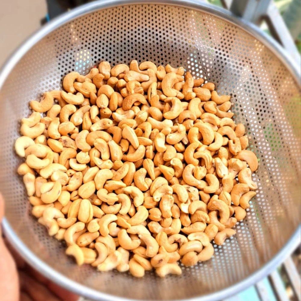 পাহাড়ি কাজু বাদাম চালনিতে প্রসেসিং rangaghorbd