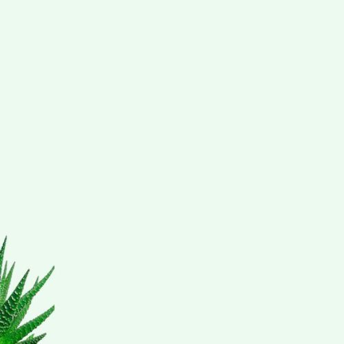 testimonials-bg-1-1.jpg